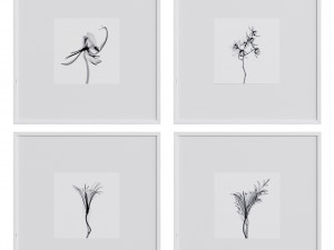 Picture Frame Set 4 3D 모델