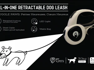 Bo&icirc;te Modèle 3D