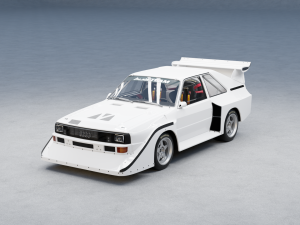 Audi Quattro S1 3D Model