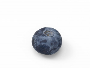 Blueberry 3D 3D Model