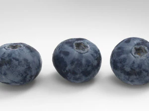 ブルーベリー 3D 3Dモデル