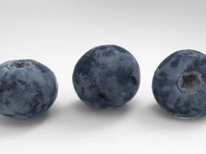 ブルーベリー 3D 3Dモデル