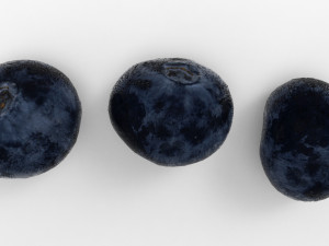 Blueberry 3D Model 3D
