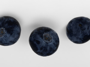 Blueberry 3D Model 3D