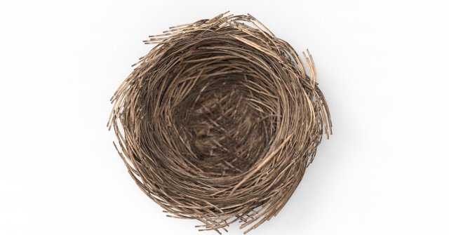 Bird Nest 3D 3D Model .c4d .max .obj .3ds .fbx .stl .blend 