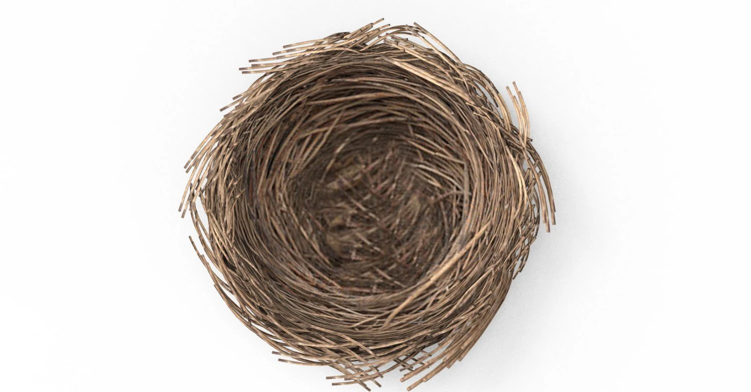 Bird Nest 3D 3D Model .c4d .max .obj .3ds .fbx .stl .blend