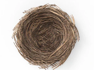 Bird Nest 3D 3D Model