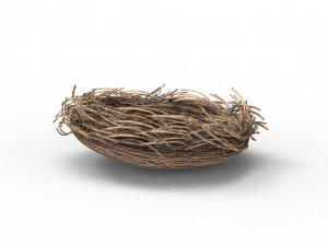 Bird Nest 3D 3D Model