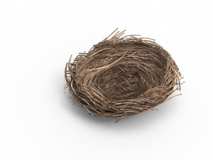 Bird Nest 3D 3D Model