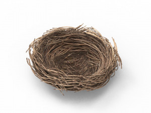Bird Nest 3D 3D Model