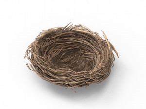 Bird Nest 3D 3D Model