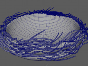 Bird Nest 3D 3D Model