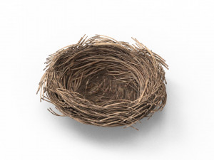 Bird Nest 3D 3D Model