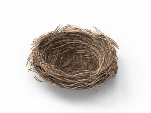 Bird Nest 3D 3D Model