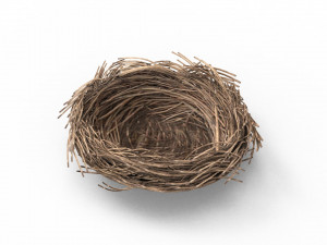 Bird Nest 3D 3D Model