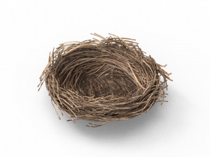 Bird Nest 3D 3D Model