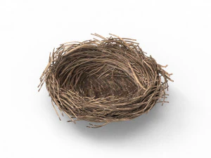 Bird Nest 3D 3D Model