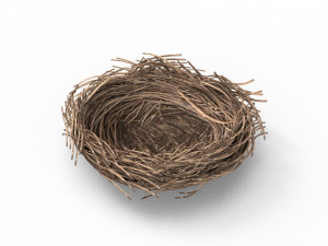 Bird Nest 3D 3D Model