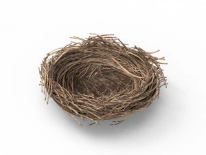 Bird Nest 3D 3D Model