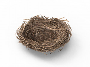 Bird Nest 3D 3D Model