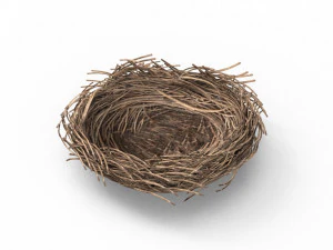 Bird Nest 3D 3D Model