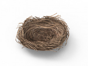 Bird Nest 3D 3D Model