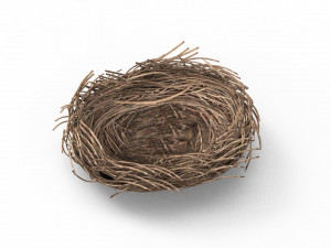 Bird Nest 3D 3D Model
