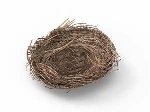 Bird Nest 3D 3D Model