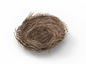 Bird Nest 3D 3D Model