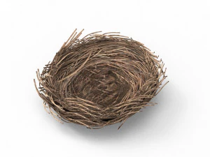 Bird Nest 3D 3D Model