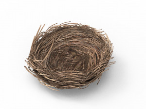 Bird Nest 3D 3D Model