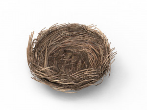 Bird Nest 3D 3D Model