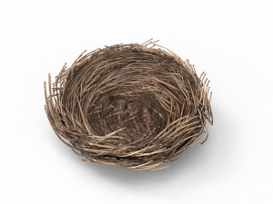 Bird Nest 3D 3D Model