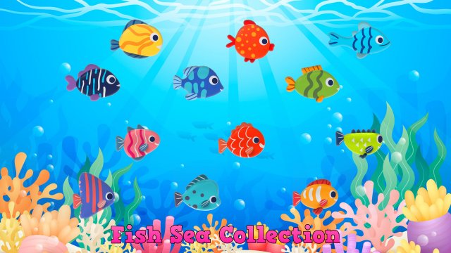 Fish Sea Collection 3d Lowpoly 3D Model .c4d .max .obj .3ds .fbx .stl .blend 