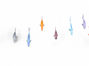 Fish Sea Collection 1 3D Model