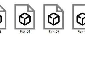 Fish Sea Collection 1 3D Model