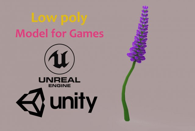 Lavander lavender 3D Model .c4d .max .obj .3ds .fbx .stl .blend 