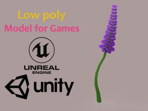 Lavanda lavanda Modello 3D