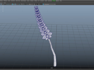 Lavander lavender 3D Model