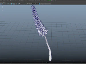 Lavander lavender 3D Model