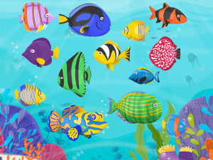 Fish Sea Collection 3 3Dモデル
