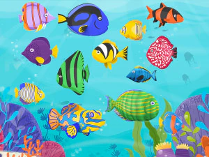 Fish Sea Collection 3 3D Model