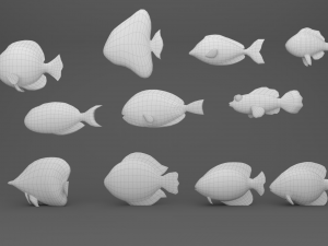 Fish Sea Collection 3 3D Model