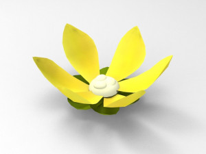 Ylang Ylang flower Model 3D