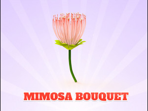 Mimosa Bouquet 3Dモデル