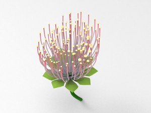 Mimosa Bouquet Modèle 3D