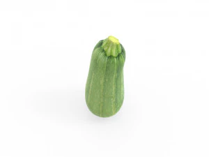 Zucchini low poly v001 3D Model