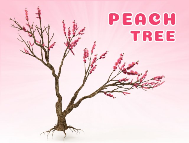 Peach tree 3D Model .c4d .max .obj .3ds .fbx .stl .blend 