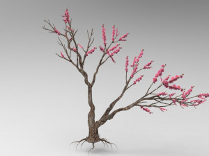 Peach tree 3D Model
