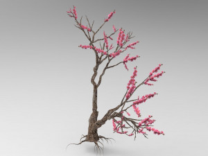 Peach tree 3D Model